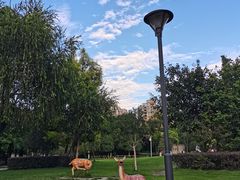 -沙河三洞古桥公园