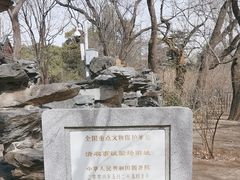 -北京动物园-畅观楼