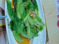 -小杨生煎(深圳岗厦北店)