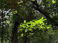 -七仙岭温泉国家森林公园