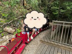 -龙岩森林水乡景区
