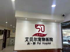 -艾贝尔宠物医院·24H转诊中心·肿瘤猫专科(江宁双龙店)
