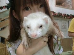 -藦茜花园宠物主题亲子互动体验馆(国顺东路店)