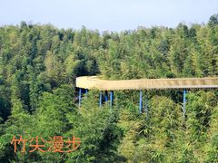 -蜀南竹海景区