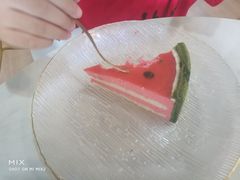 -Husky Go! 哈士奇体验馆·宠物咖啡厅狗咖