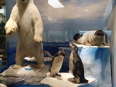 -国家自然博物馆