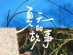 -永定河休闲森林公园