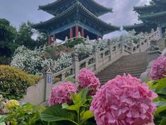 -阅江楼风景区