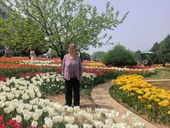 -石家庄市植物园