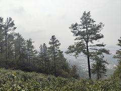 -缥缈峰景区