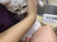 -艾贝尔宠物医院·狂犬免疫点(江山金象城店)