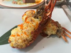 -乐亭日本料理(彩虹本店)