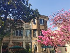 -大可堂普洱茶馆(襄阳南路馆)