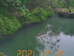 -咸宁万豪温泉谷度假区