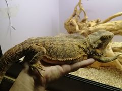 -昆明大悦城未来动物城(螺蛳湾中心店)
