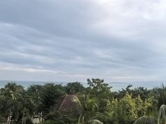 -三亚海棠湾万丽度假酒店