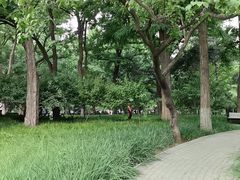 -玲珑塔公园