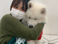 -星多哈·狗咖·拼豆·咖啡