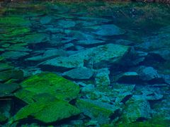 -叠溪松坪沟景区