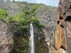 -上海辰山植物园