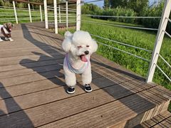 -洨河生态公园