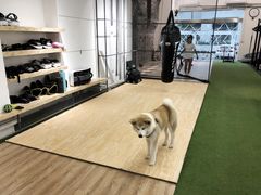 -YCHL Studios健身工作室(市二宫店)