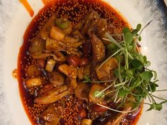 -院8里·少城记忆老川菜(宽窄巷子店)