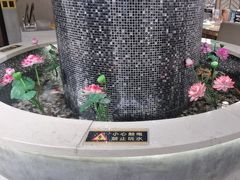 -顺意·顺德家乡菜(国际人才大厦店)