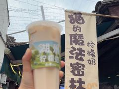 -猫的魔法密林(衣裳街店)