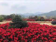 -广州市石门国家森林公园