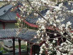 -堤角公园