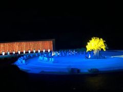 -鼎盛王朝康熙大典实景演出