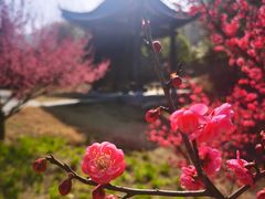 -明堂山风景区
