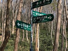 -灵谷景区