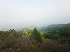 -阳台山自然风景区