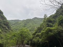 -宁波五龙潭景区