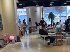 -藏猫猫咖啡主题馆(中央大道店)