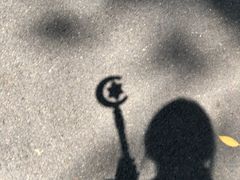 -神光山国家森林公园