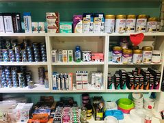-宠伴小精灵宠物店(鼓楼店)