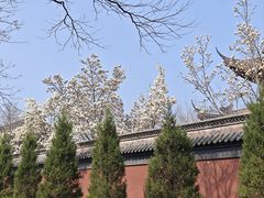 -钱王祠