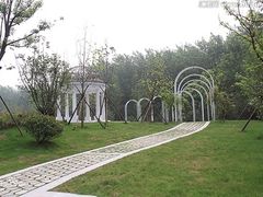 -合肥滨湖国家森林公园