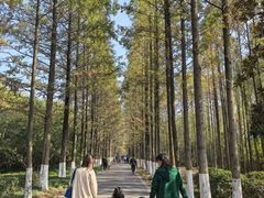 -昆山城市生态森林公园