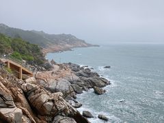 -广东惠东海龟国家级自然保护区