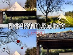 -冶父山国家森林公园
