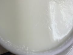 -澳洲牛奶公司(佐敦店)