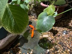 -邈墨茶馆(凤起路店)