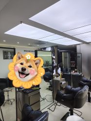 -米可造型烫染