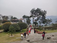 -铁山坪森林公园