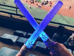 -南京奥林匹克体育中心-体育馆