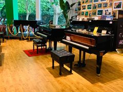 -柏斯琴行(汾阳店)